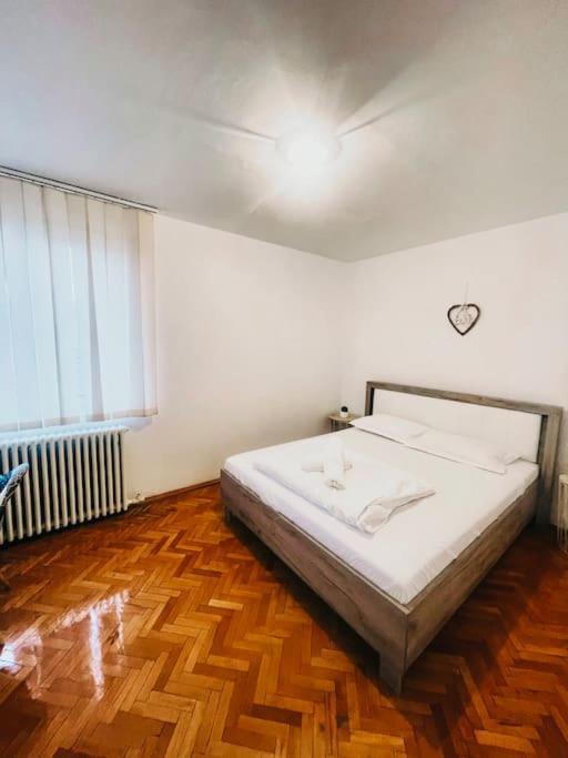 Ultracentral Big Flat Near The Opera Square P17 ทิมิชัวรา ภายนอก รูปภาพ