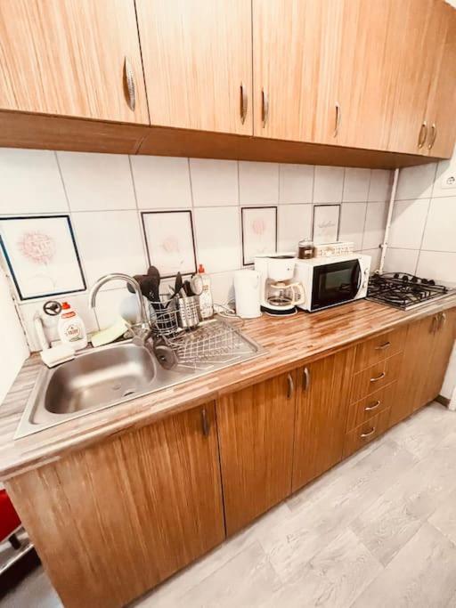 Ultracentral Big Flat Near The Opera Square P17 ทิมิชัวรา ภายนอก รูปภาพ
