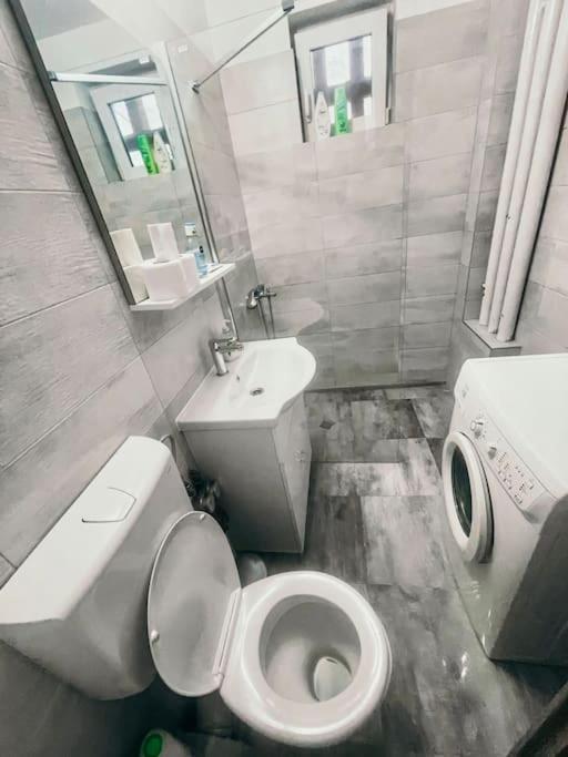Ultracentral Big Flat Near The Opera Square P17 ทิมิชัวรา ภายนอก รูปภาพ