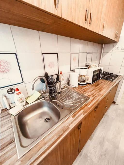 Ultracentral Big Flat Near The Opera Square P17 ทิมิชัวรา ภายนอก รูปภาพ