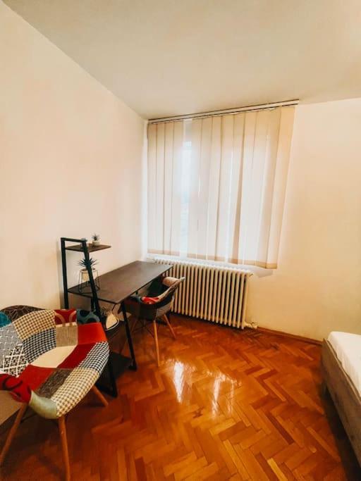 Ultracentral Big Flat Near The Opera Square P17 ทิมิชัวรา ภายนอก รูปภาพ