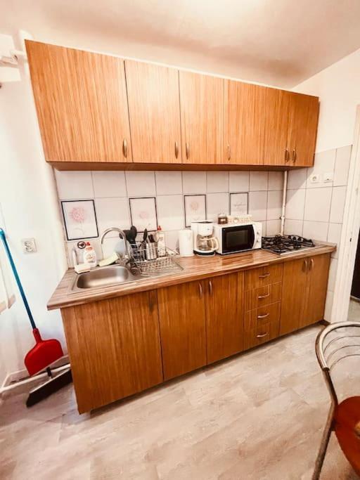 Ultracentral Big Flat Near The Opera Square P17 ทิมิชัวรา ภายนอก รูปภาพ